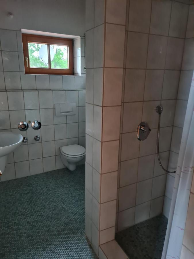 Toller Bergblick Vom Ruhigen Sonnenbalkon, Nur 50M Zum See & Oepnv Inklusive Blaichach Extérieur photo